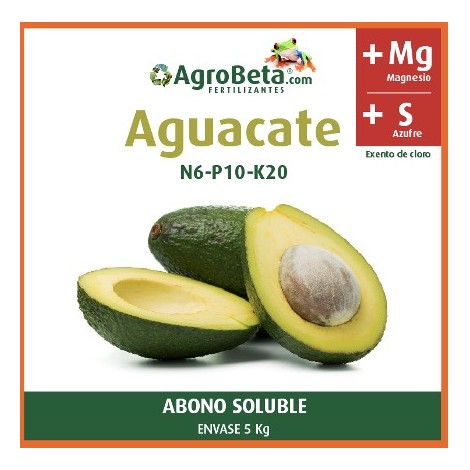 Aguacate
