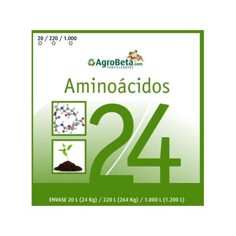 Aminoácidos 24