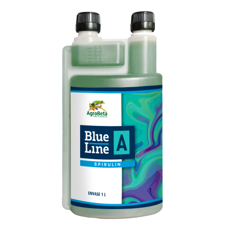 Blue Line A