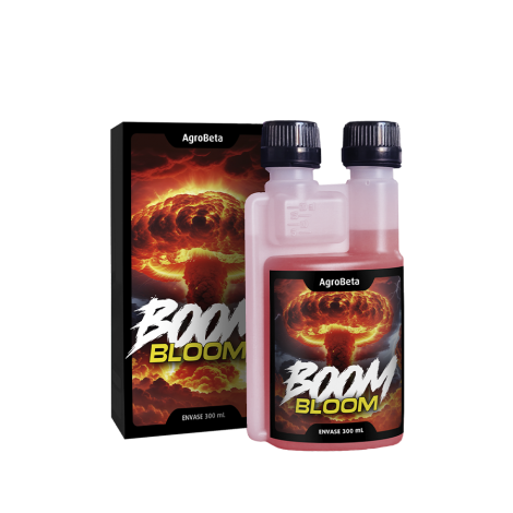 Boom Bloom