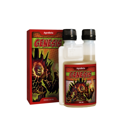 Genesis