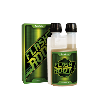 Flash Root
